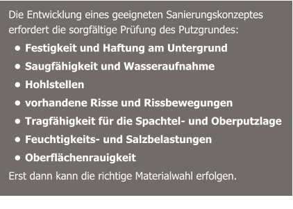 Die Entwicklung eines geeigneten Sanierungskonzeptes erfordert die sorgfältige Prüfung des Putzgrundes:  •	Festigkeit und Haftung am Untergrund •	Saugfähigkeit und Wasseraufnahme •	Hohlstellen •	vorhandene Risse und Rissbewegungen •	Tragfähigkeit für die Spachtel- und Oberputzlage •	Feuchtigkeits- und Salzbelastungen •	Oberflächenrauigkeit Erst dann kann die richtige Materialwahl erfolgen.